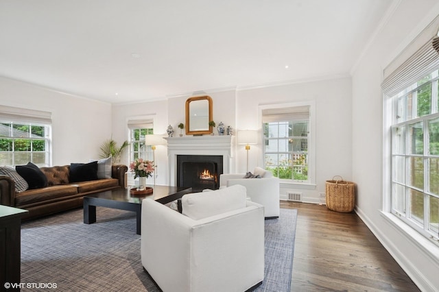 2735 Simpson St, Evanston, IL 60201 - living room featuring a lit fireplace, dark wood finished floors, and ornamental molding