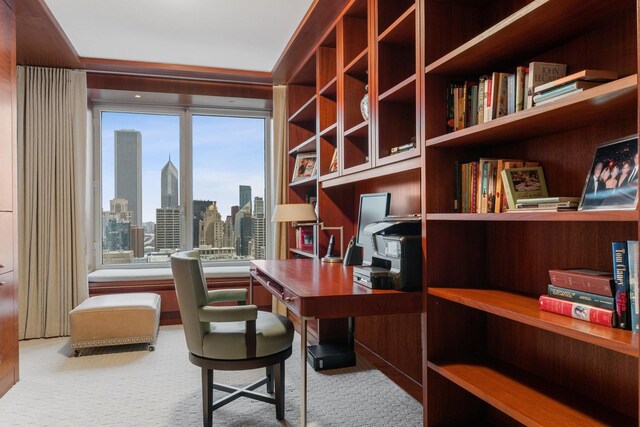 161 E Chicago Ave Unit 33De, Chicago, IL 60611 - photo 18