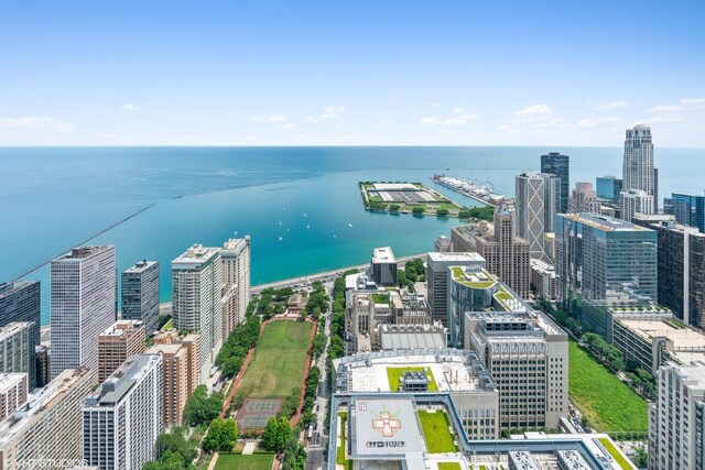 161 E Chicago Ave Unit 33De, Chicago, IL 60611 - photo 41