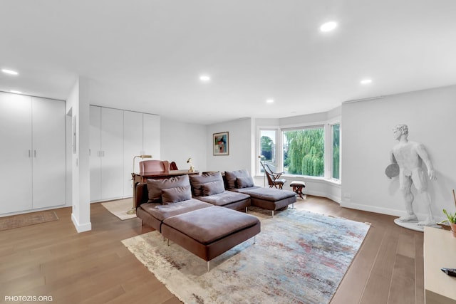 300 Thames Pkwy Unit 2A, Park Ridge, IL 60068 - living room with recessed lighting and wood finished floors
