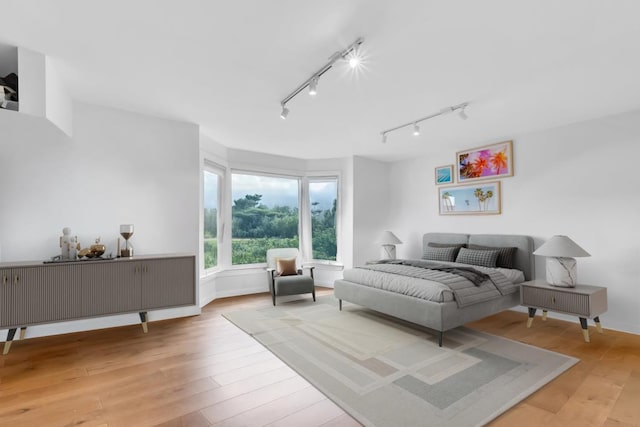 300 Thames Pkwy Unit 2A, Park Ridge, IL 60068 - bedroom featuring rail lighting and light wood-style flooring