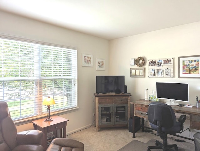 1471 Baroque Ave, Volo, IL 60073 - photo 13