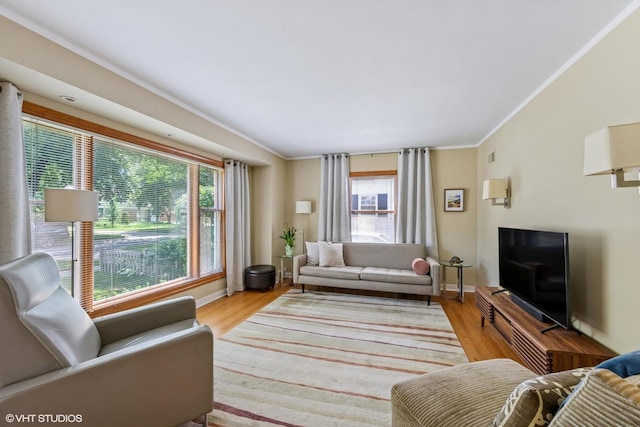530 S Vail Ave, Arlington Heights, IL 60005 - living area featuring crown molding and wood finished floors
