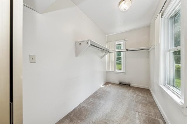 456 Grove St, Wood Dale, IL 60191 - walk in closet featuring carpet flooring