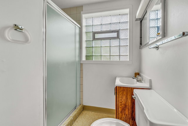 9113 Sycamore Dr, Hickory Hills, IL 60457 - bathroom with a shower stall, plenty of natural light, and vanity