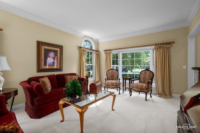 1105 Thoroughbred Cir, Saint Charles, IL 60174 - living area with ornamental molding and light colored carpet