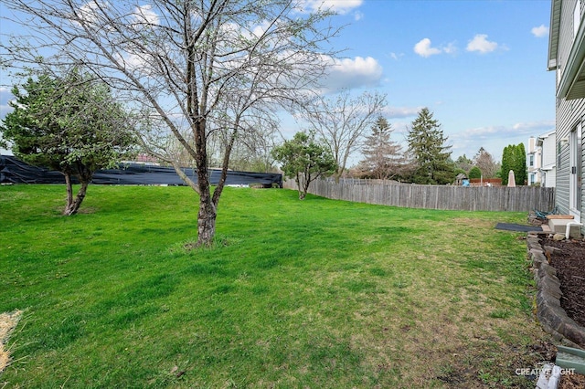 220 Braemar Gln, Bolingbrook, IL 60440 - view of yard