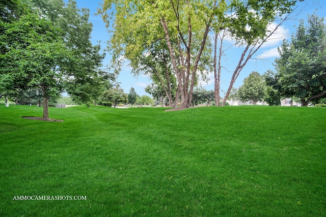 840 Clover Ln, Pingree Grove, IL 60140 - photo 27