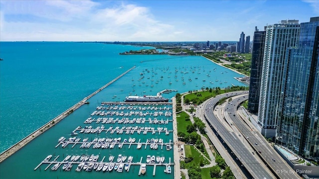 474 N Lake Shore Dr Unit 4806, Chicago, IL 60611 - photo 25