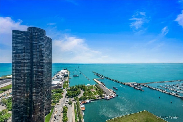 474 N Lake Shore Dr Unit 4806, Chicago, IL 60611 - photo 28