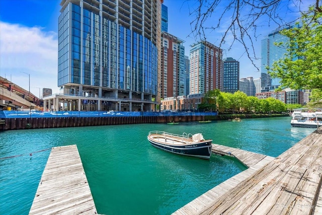 474 N Lake Shore Dr Unit 4806, Chicago, IL 60611 - photo 29