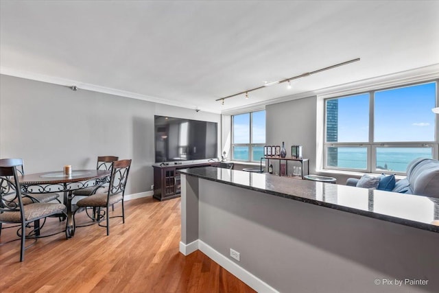 474 N Lake Shore Dr Unit 4806, Chicago, IL 60611 - photo 6