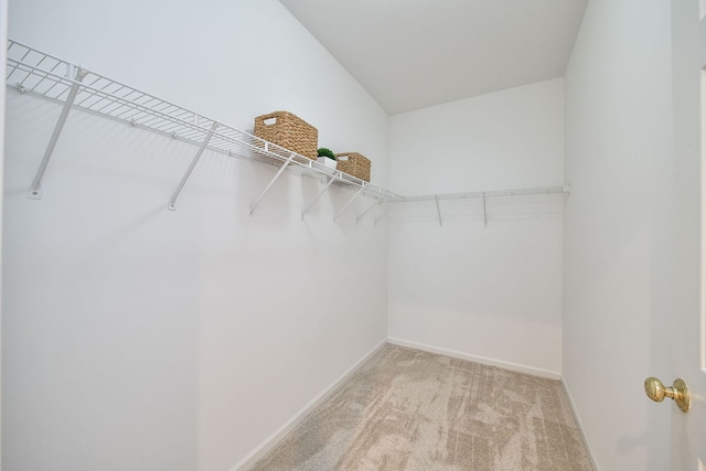 838 Stuarts Dr, Saint Charles, IL 60174 - walk in closet with light carpet