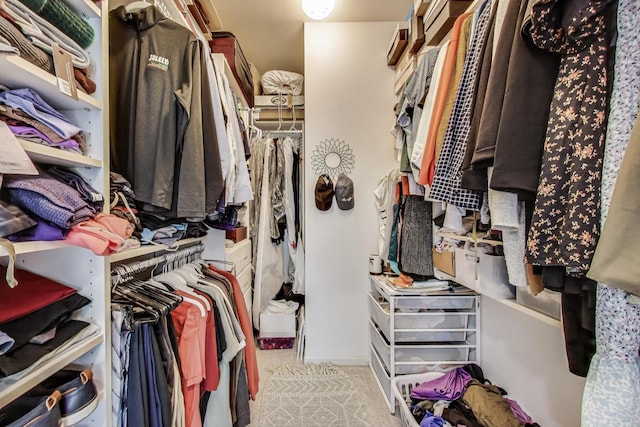 1601 N Paulina St Unit 2D, Chicago, IL 60622 - spacious closet featuring carpet floors