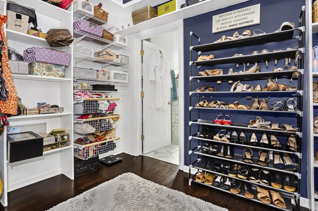 4738 S Champlain Ave, Chicago, IL 60615 - spacious closet with wood finished floors