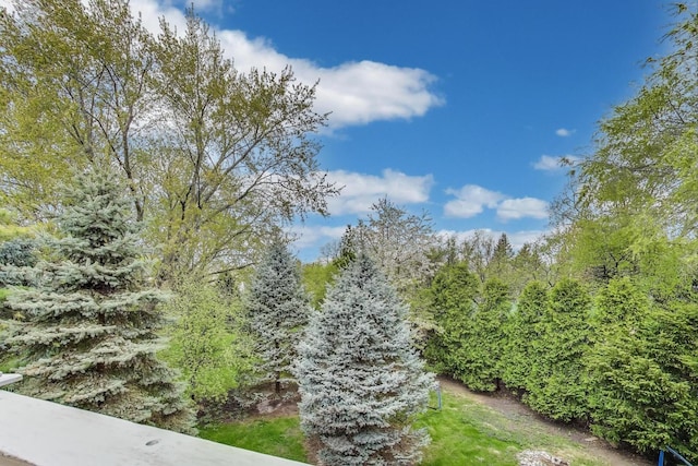 628 Greenwood Rd, Northbrook, IL 60062 - photo 52