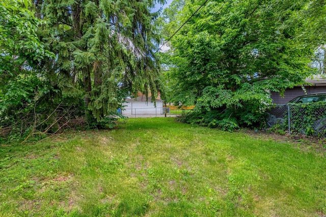 12452 S Eggleston Ave, Chicago, IL 60628 - view of yard