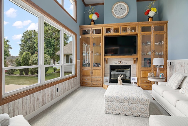 1553 Noble Quest Dr, Bourbonnais, IL 60914 - living area with a glass covered fireplace and carpet flooring