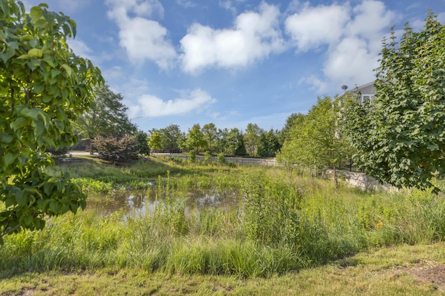 7 Bethel Ln, Schaumburg, IL 60194
