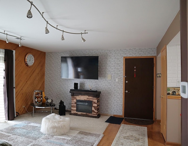 4829 W 109th St Unit 203, Oak Lawn, IL 60453 - living area featuring track lighting, a glass covered fireplace, wood finished floors, and wood walls