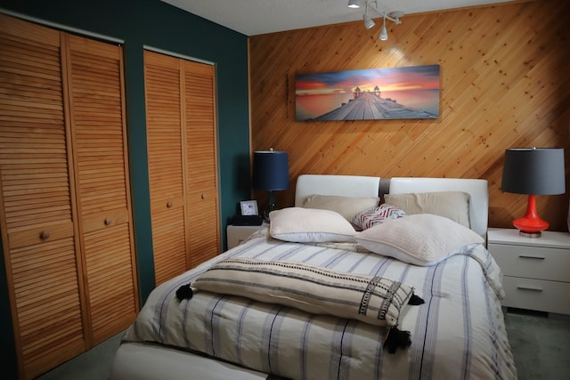4829 W 109th St Unit 203, Oak Lawn, IL 60453 - carpeted bedroom featuring two closets and wood walls