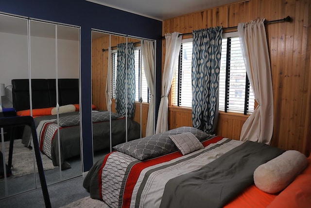 4829 W 109th St Unit 203, Oak Lawn, IL 60453 - carpeted bedroom with wooden walls and two closets