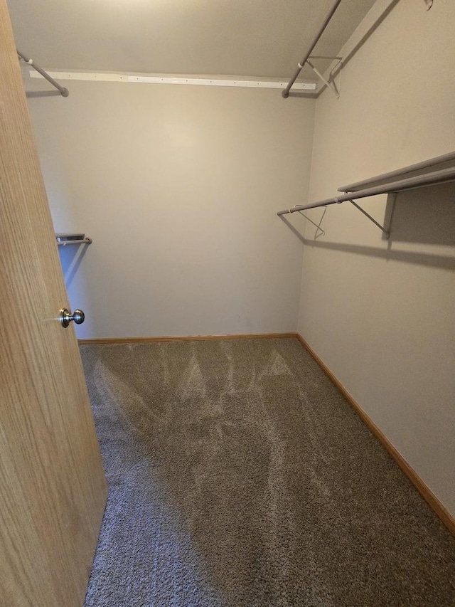8452 Dunmore Dr, Tinley Park, IL 60487 - spacious closet featuring carpet flooring