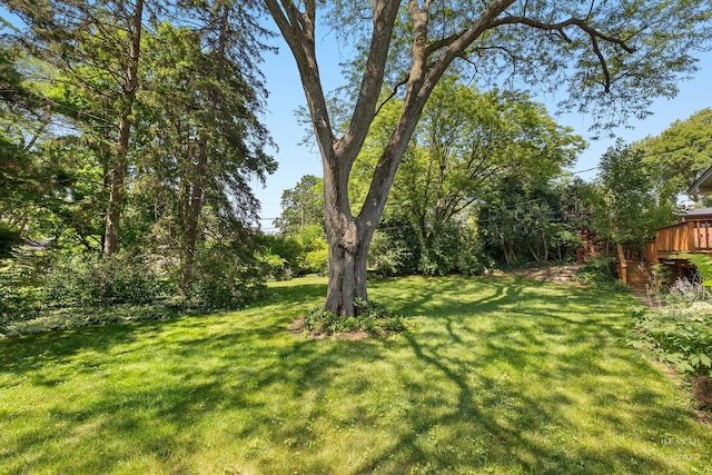 808 Lill St, Barrington, IL 60010 - photo 26