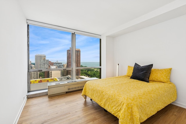 330 W Diversey Pkwy Unit 2306, Chicago, IL 60657 - bedroom featuring wood finished floors and a city view