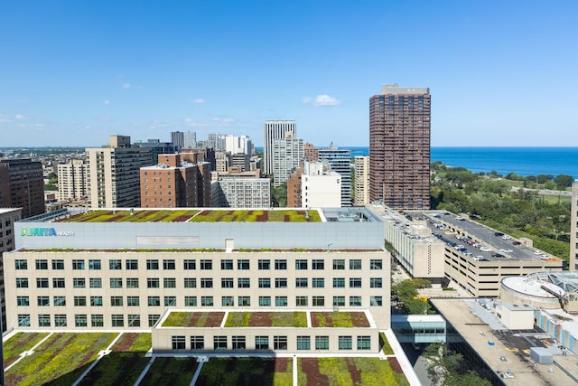 330 W Diversey Pkwy Unit 2306, Chicago, IL 60657 - view of urban area featuring a nearby body of water