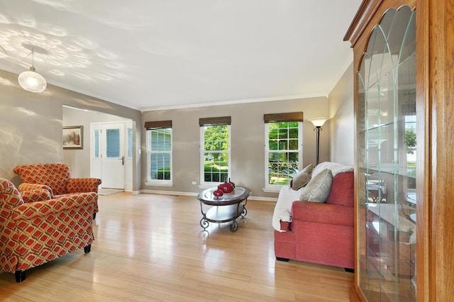 920 Matthew Ct, Naperville, IL 60540 - living area with ornamental molding and light wood-type flooring