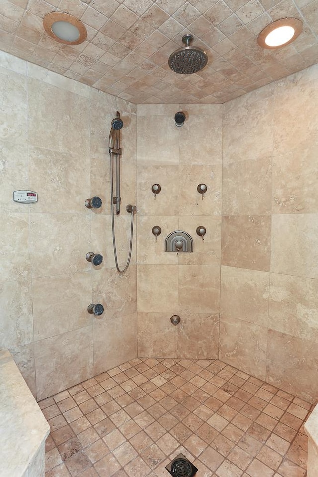 560 81st St, Burr Ridge, IL 60527 - full bathroom with tiled shower