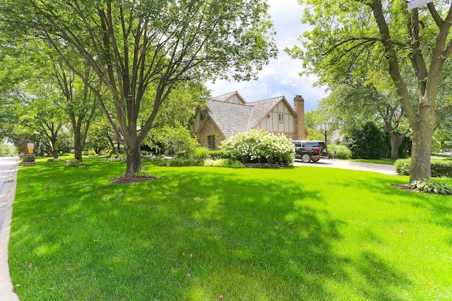 560 81st St, Burr Ridge, IL 60527 - view of green lawn
