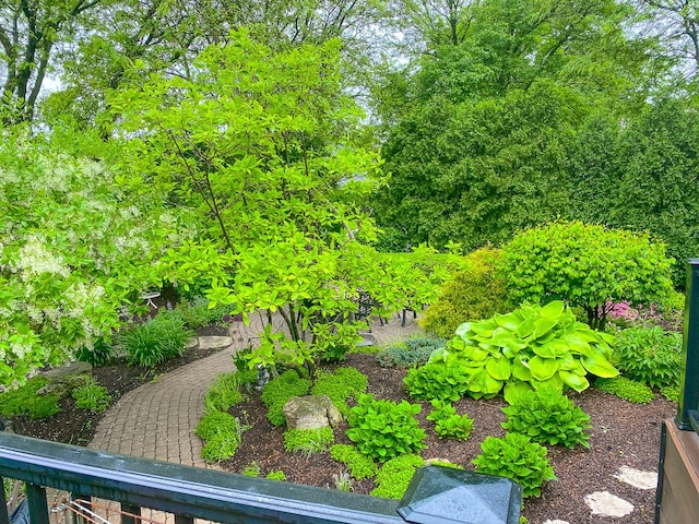 560 81st St, Burr Ridge, IL 60527 - view of yard