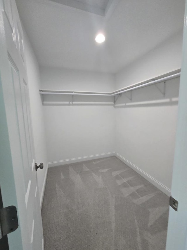 1807 W Locust Ln, Mount Prospect, IL 60056 - spacious closet with carpet floors