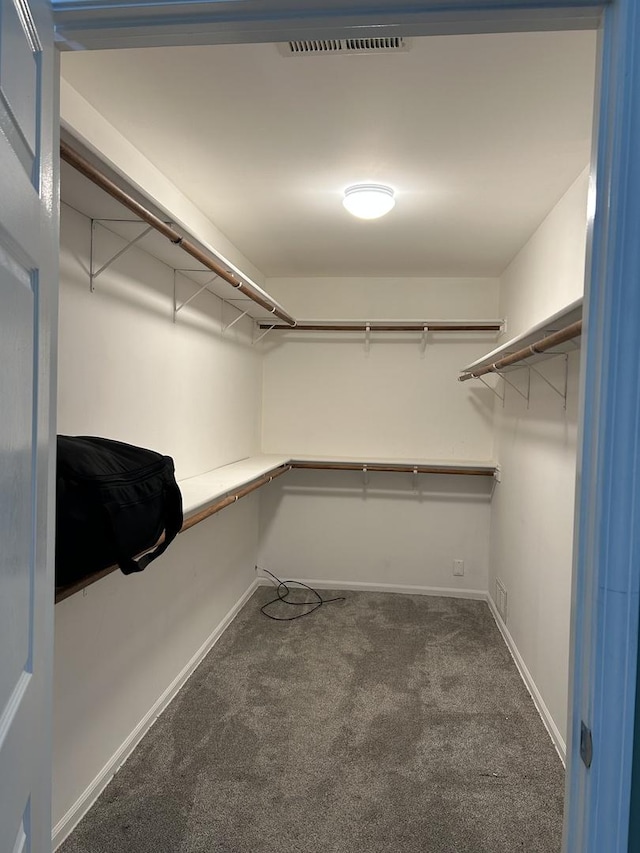 6220 Misty Pines Dr Unit 3, Tinley Park, IL 60477 - walk in closet featuring carpet