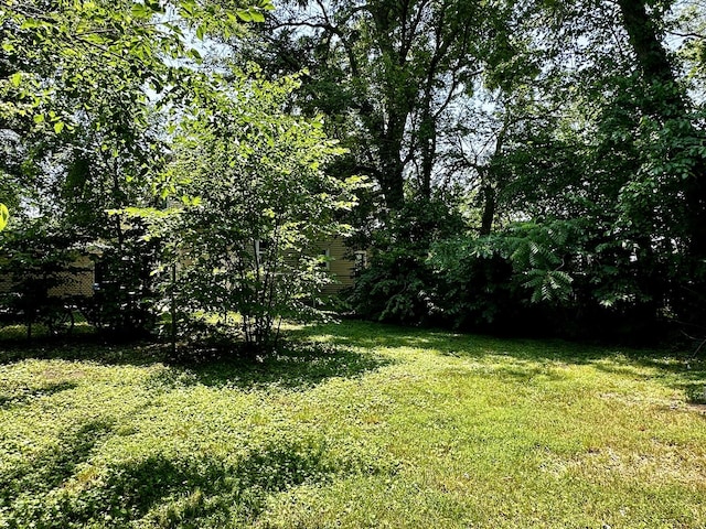 673 Parkway Ave, Elgin, IL 60120 - view of green lawn