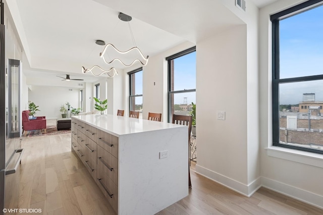 1261 N Paulina Ave Unit 6, Chicago, IL 60622 - walk in closet featuring light wood-style floors and a ceiling fan