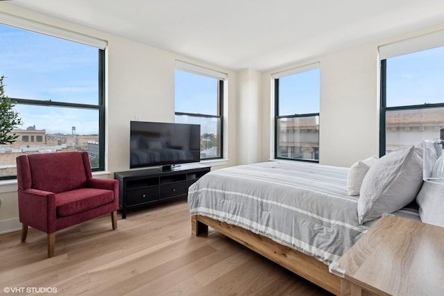 1261 N Paulina Ave Unit 6, Chicago, IL 60622 - bedroom with light wood finished floors and multiple windows