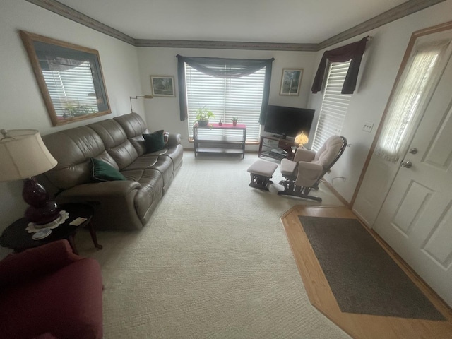 1827 Arbor Falls Dr, Plainfield, IL 60586 - carpeted living room featuring ornamental molding and baseboards