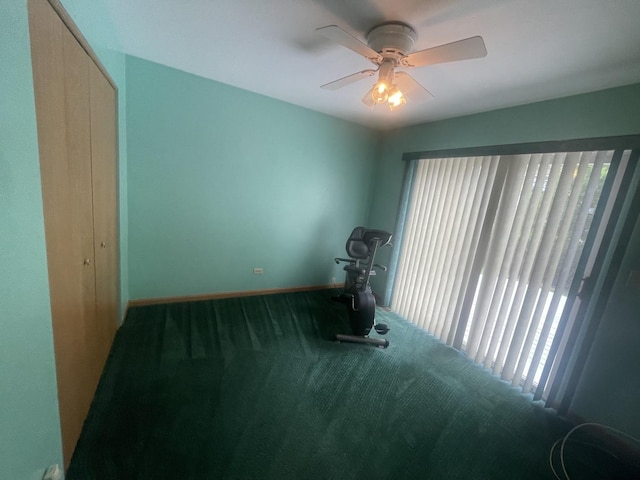 1827 Arbor Falls Dr, Plainfield, IL 60586 - workout room featuring healthy amount of natural light, carpet floors, and ceiling fan