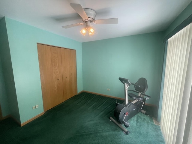 1827 Arbor Falls Dr, Plainfield, IL 60586 - exercise room with carpet floors and a ceiling fan