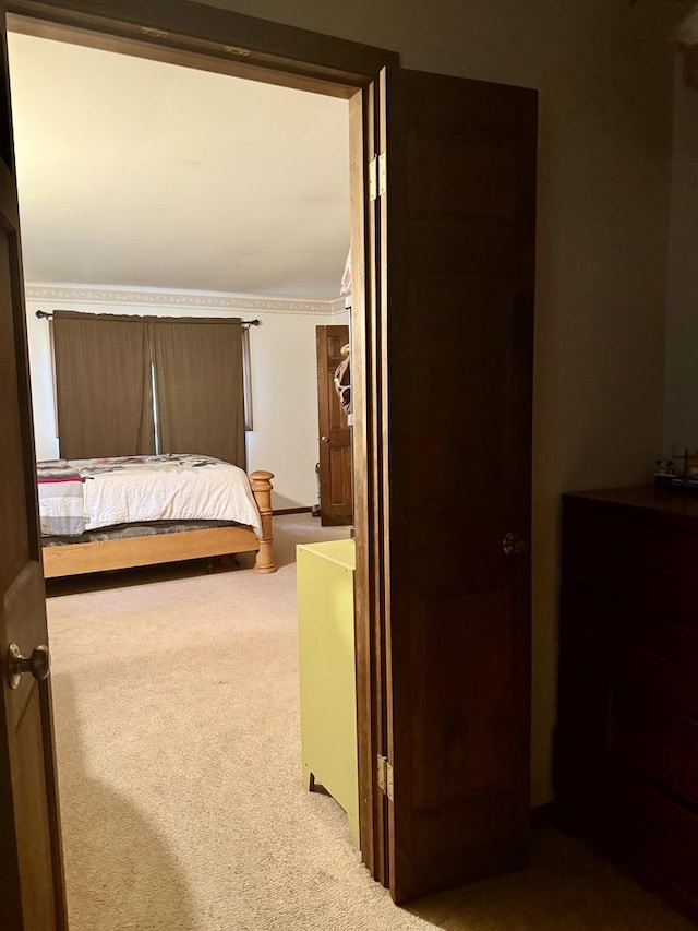 261 S Edison Ave, Elgin, IL 60123 - view of carpeted bedroom