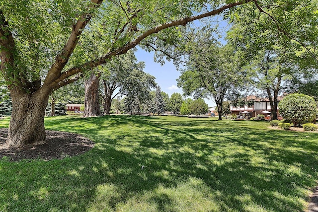 6386 W Willow Wood Dr Unit D2, Palos Heights, IL 60463 - photo 10