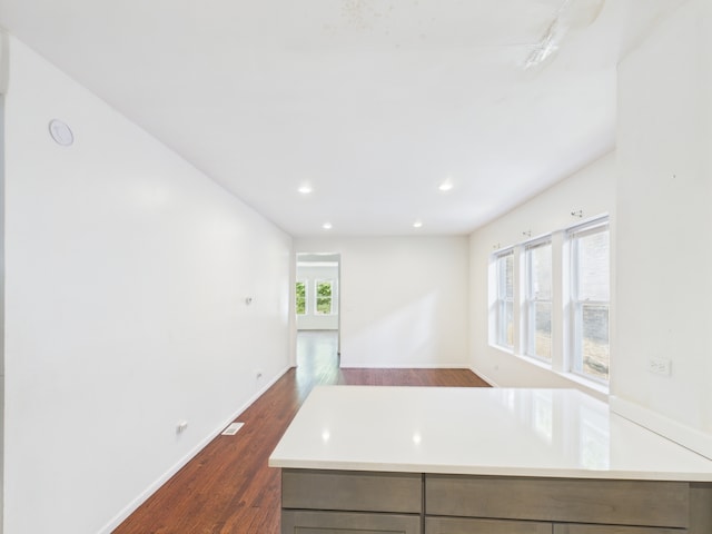 8015 S Paxton Ave, Chicago, IL 60617 - kitchen featuring dark wood-type flooring, light countertops, and recessed lighting