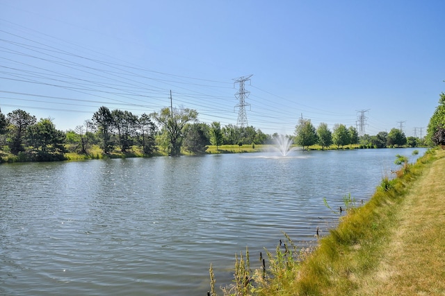 3142 Bennett Pl, Aurora, IL 60502 - water view