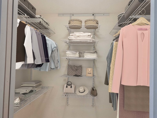 806 Lawler Ave, Wilmette, IL 60091 - view of walk in closet