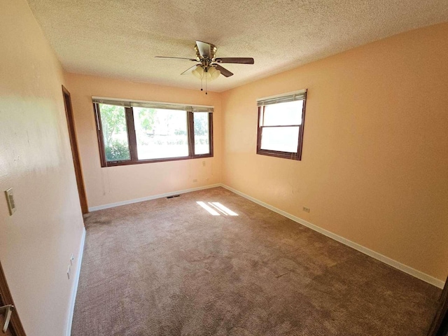 75 Bode Rd, Hoffman Estates, IL 60169 - carpeted spare room featuring plenty of natural light, ceiling fan, and a textured ceiling