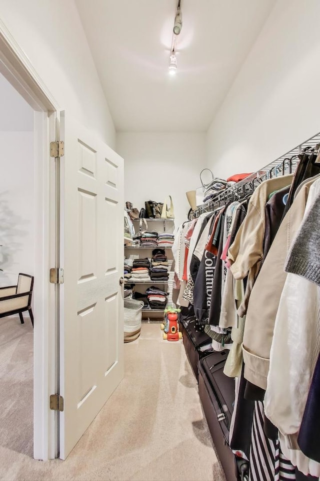 2302 Sandy Creek Dr, Algonquin, IL 60102 - walk in closet featuring carpet floors