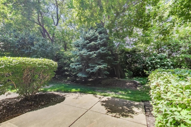 2302 Sandy Creek Dr, Algonquin, IL 60102 - view of patio / terrace